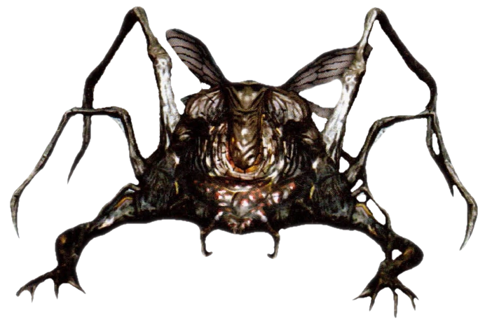 Aranha